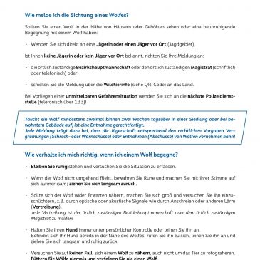 Wolf – Meldung einer Sichtung und allgemeine Verhaltensregeln