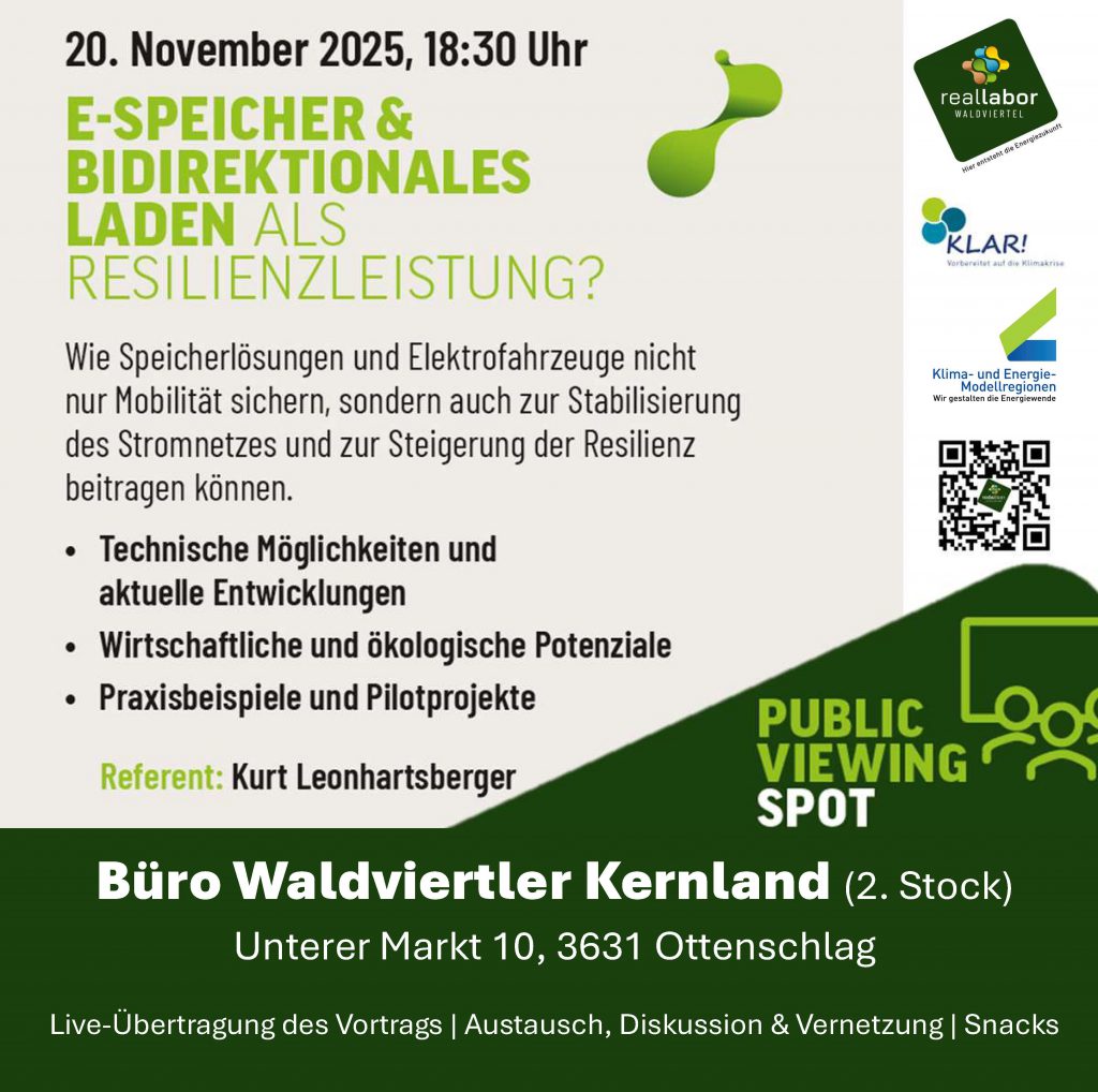 Public Viewing – Start der Veranstaltungsreihe zum Thema E-Speicher und bidirektionales Laden