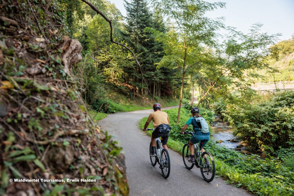Mit dem Mountainbike sicher durchs Waldviertel