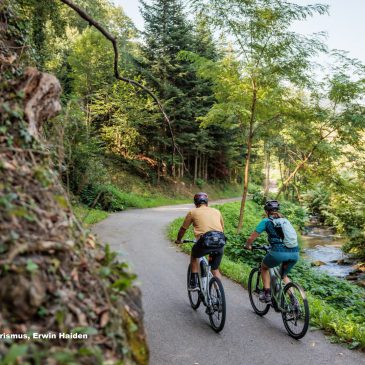 Mit dem Mountainbike sicher durchs Waldviertel