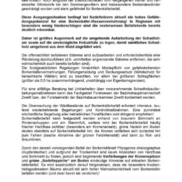 Borkenkäferinformation